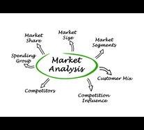 Company Analysis – Marketing 