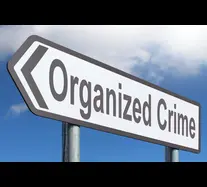 The impact of globalization on transnational organized crime