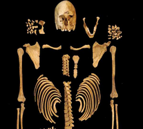 The Role of Forensic Anthropology in Identifying Human Remains.