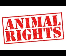 Ethics of Animal Rights