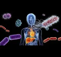 The Gut Microbiome and Its Influence on Human Health: A Comprehensive Review
